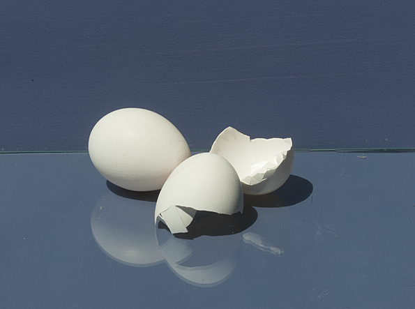 EierWS-1